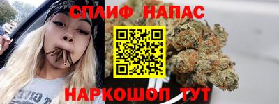 гашик Донецк