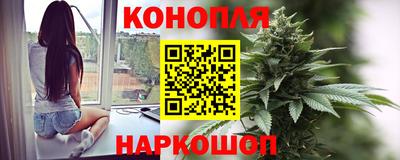 гашик Донецк