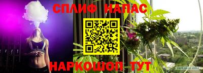 наркотики Дубна