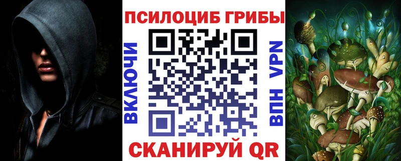 hydra   Корсаков  Галлюциногенные грибы GOLDEN TEACHER 
