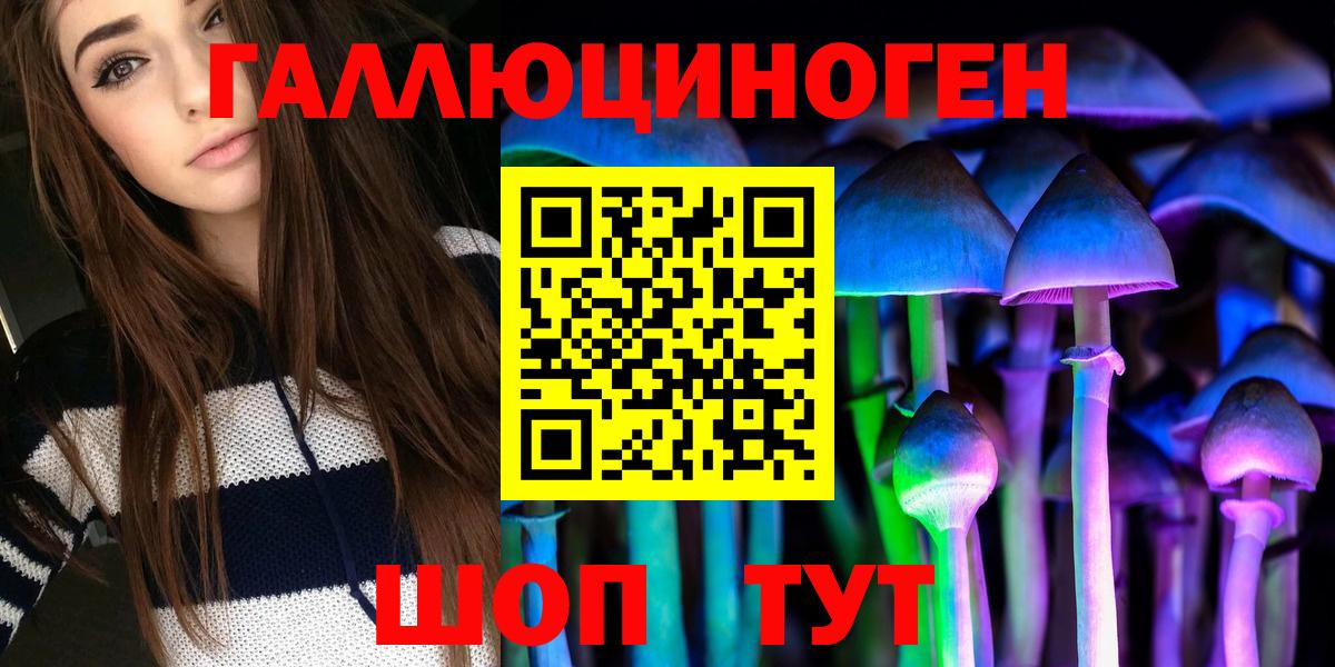 цена   Корсаков  Псилоцибиновые грибы MAGIC MUSHROOMS 