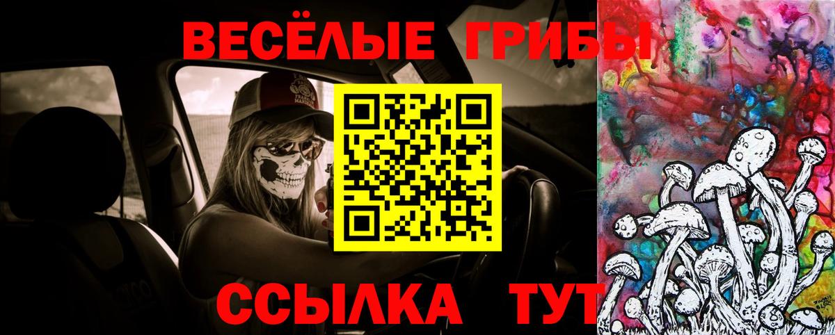 Псилоцибиновые грибы мицелий Корсаков