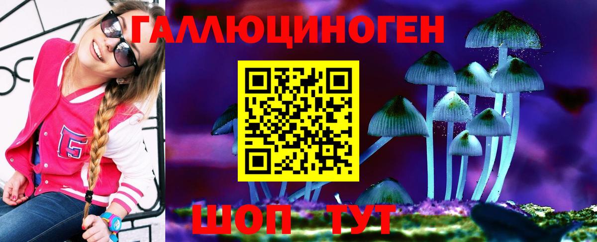 Псилоцибиновые грибы Cubensis  Вход с VPN  Корсаков 